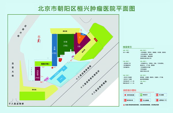 操逼色网北京市朝阳区桓兴肿瘤医院平面图